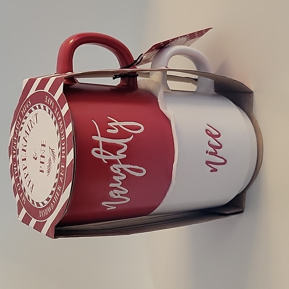 NAUGHTY & NICE MUG
